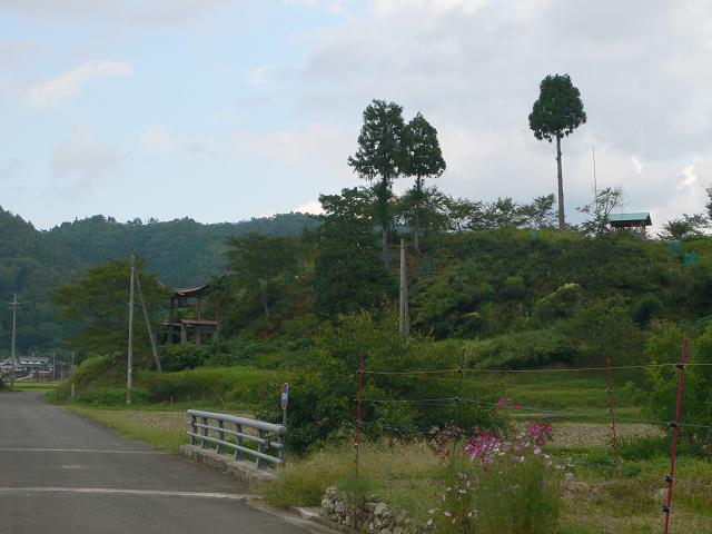 b0042882_134277.jpg