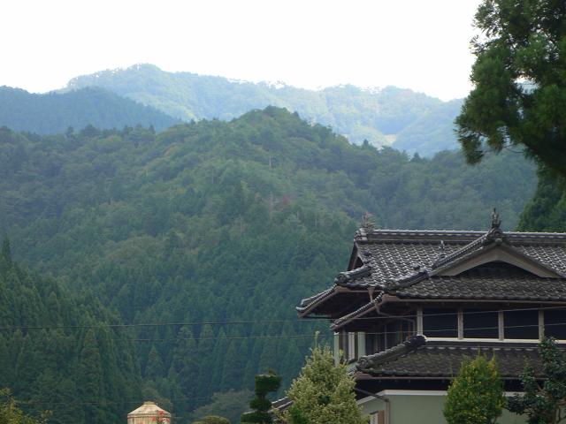 b0042882_1353927.jpg