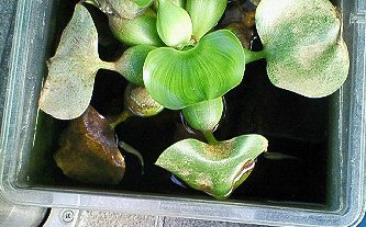 c0014187_031139.jpg