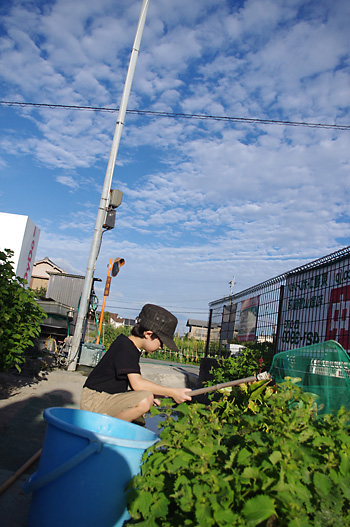 b0247789_5363267.jpg