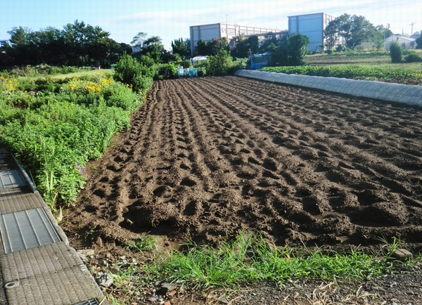 e0143690_1427899.jpg