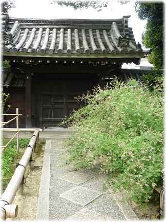 f0194690_14124835.jpg