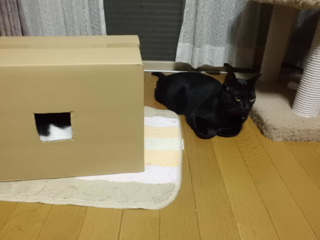 c0150193_13555621.jpg