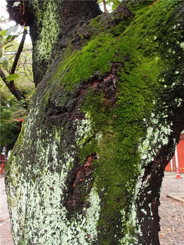 f0224100_22351761.jpg