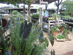 c0196701_18502735.jpg