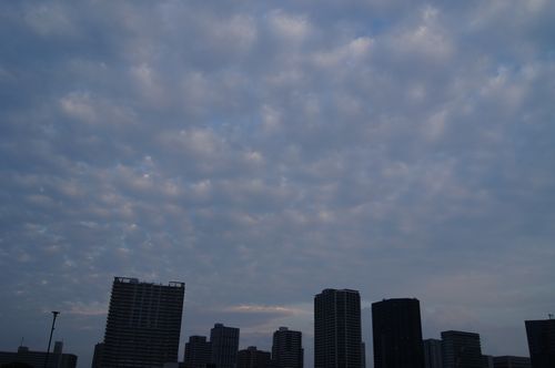 f0085501_8201697.jpg
