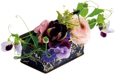 f0200803_1004291.jpg