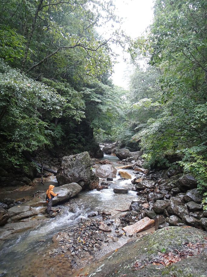 b0172805_27522.jpg