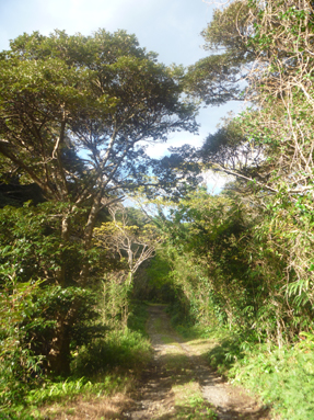 b0044209_9253967.jpg