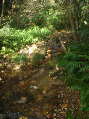 b0044209_9275033.jpg