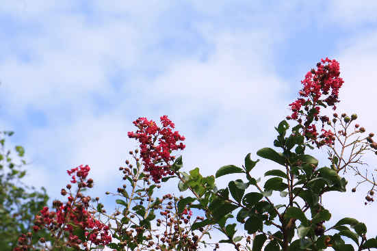 d0154609_14182571.jpg