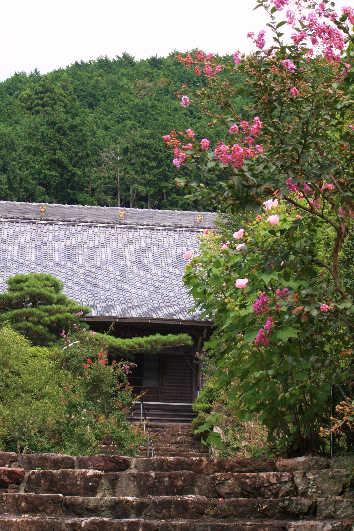 d0154609_1482569.jpg