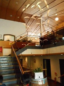 c0229312_6112245.jpg