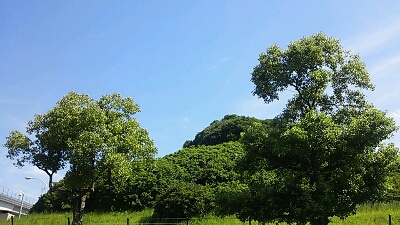a0275715_1321087.jpg
