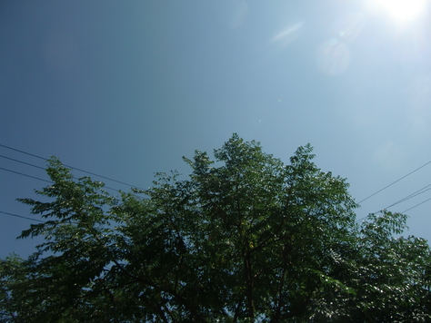 b0132619_16323310.jpg