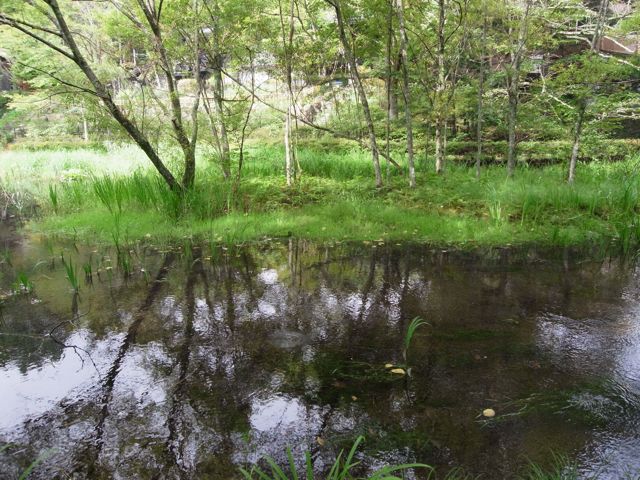 d0251120_22164681.jpg