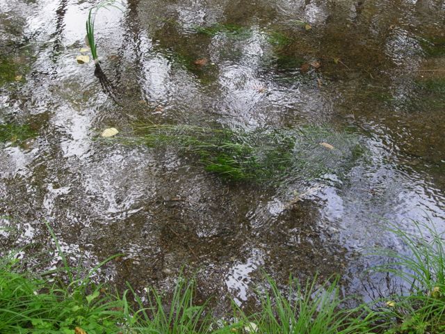 d0251120_22185388.jpg