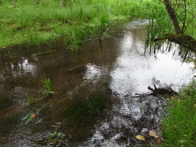 d0251120_2219147.jpg