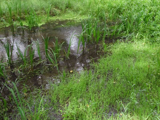 d0251120_2220242.jpg