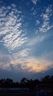b0147522_1755413.jpg