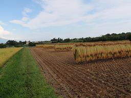 f0022024_22141652.jpg