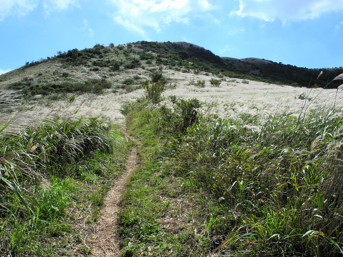 d0079432_2048562.jpg