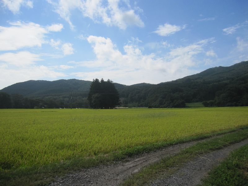 d0088735_236108.jpg
