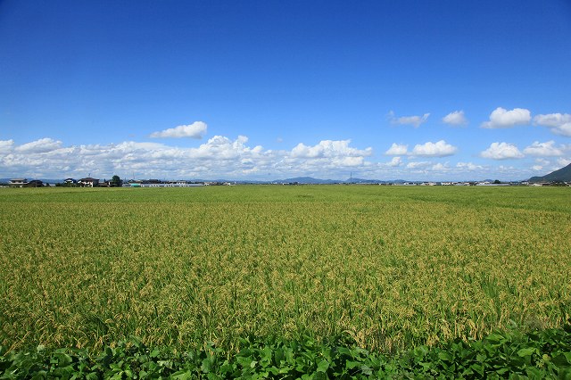 a0242438_19455325.jpg