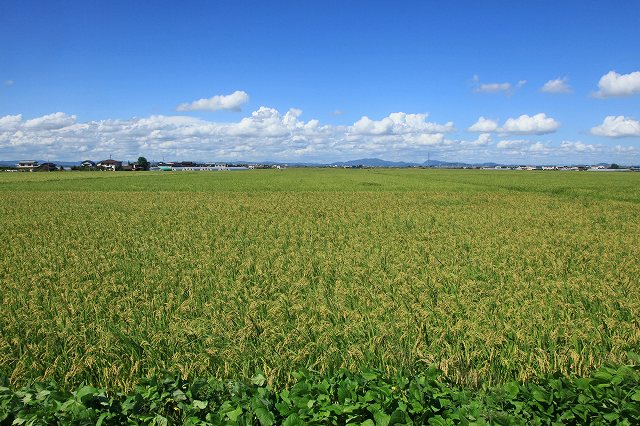 a0242438_19455829.jpg