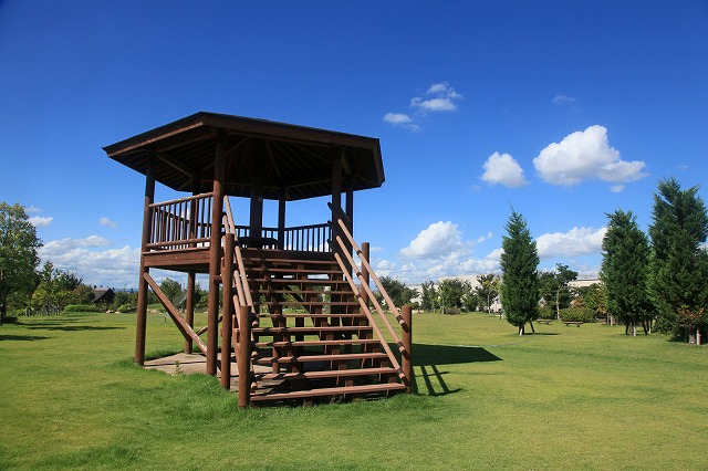 a0242438_19462438.jpg