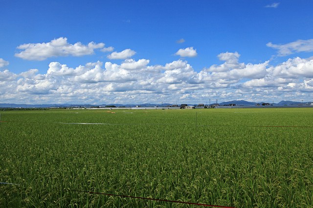 a0242438_19492840.jpg