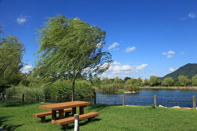 a0242438_1949859.jpg