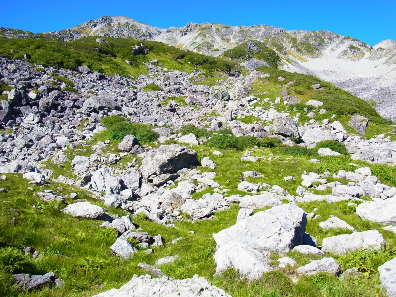b0190242_22545272.jpg
