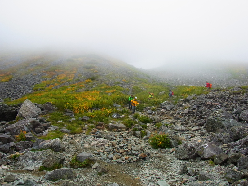 b0190242_239483.jpg
