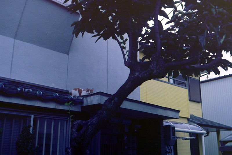 d0089742_0332123.jpg