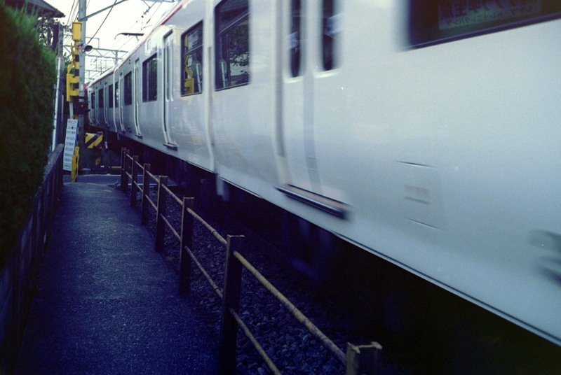 d0089742_1164577.jpg