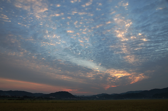f0214649_4153693.jpg