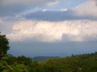 e0119851_0291271.jpg