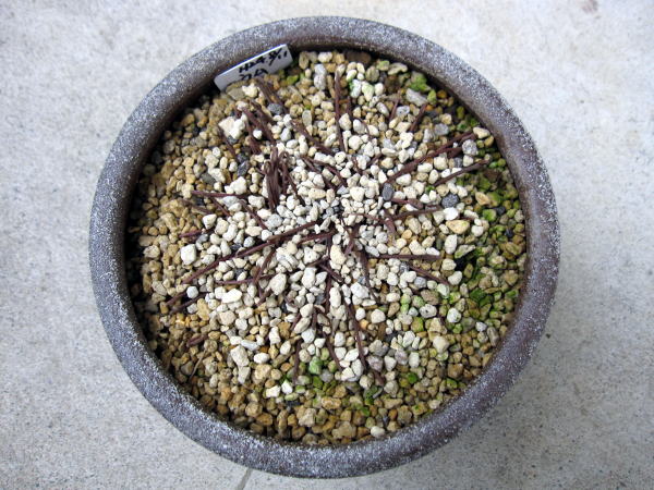 c0147952_22021100.jpg