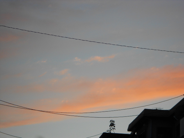 a0250553_813470.jpg