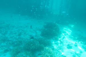 f0190653_10424089.jpg