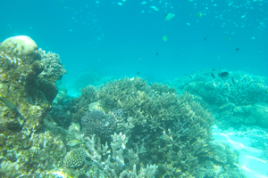 f0190653_10425114.jpg