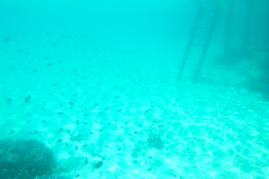 f0190653_10425614.jpg