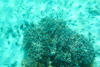 f0190653_1043238.jpg