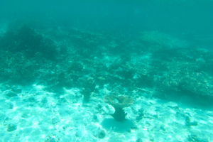 f0190653_1043376.jpg