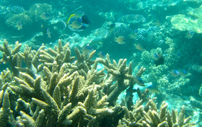 f0190653_1046403.jpg