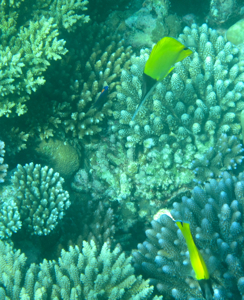 f0190653_10492190.jpg