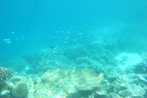 f0190653_10495341.jpg