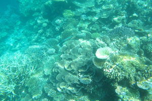 f0190653_10522277.jpg