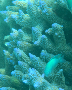 f0190653_10533136.jpg